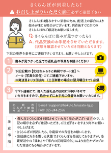 さくらんぼ L～2L 【先行予約】 約350g 毎日農業記録賞 全国最優秀賞 受賞 完熟大玉バラ 紅秀峰 佐藤錦 やまなし GAP 認証 フルーツ グランプリ ※2025年6月中旬以降順次発送 岩原果