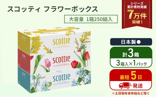 ティッシュ スコッティ フラワーボックス 3箱 ( 3箱 × 1パック ) [№5704-2012]