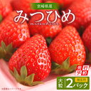 【ふるさと納税】《2025年発送先行予約》【期間・数量限定】【贈答用】宮崎県産いちご みつひめ 2パック 果物 フルーツ スイーツ デザート 旬の果物 旬のフルーツ 季節の果物 季節のフルーツ 旬 季節 贈答 贈り物 ギフト プレゼント お祝い 内祝い 誕生日 宮崎県 宮崎市