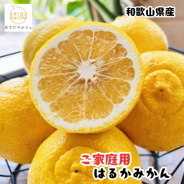 【ふるさと納税】【選べる容量】［先行予約］［人気柑橘］ 有田育ちの はるか みかん（訳あり 家庭用）1.5～10kg | フルーツ 果物 くだもの 食品 人気 おすすめ 送料無料 農家直送