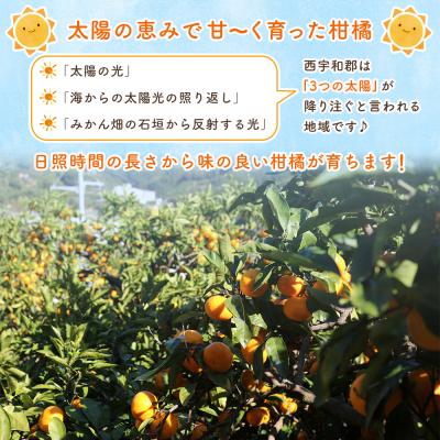 ふるさと納税 西予市 <マーマレード・ジャム 3種セット> 国産 愛媛県産 西宇和 マーマレード ジャム セット 3個 |  | 03
