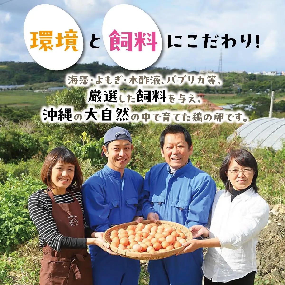 美ら卵養鶏場の卵 60個【順次配送】   