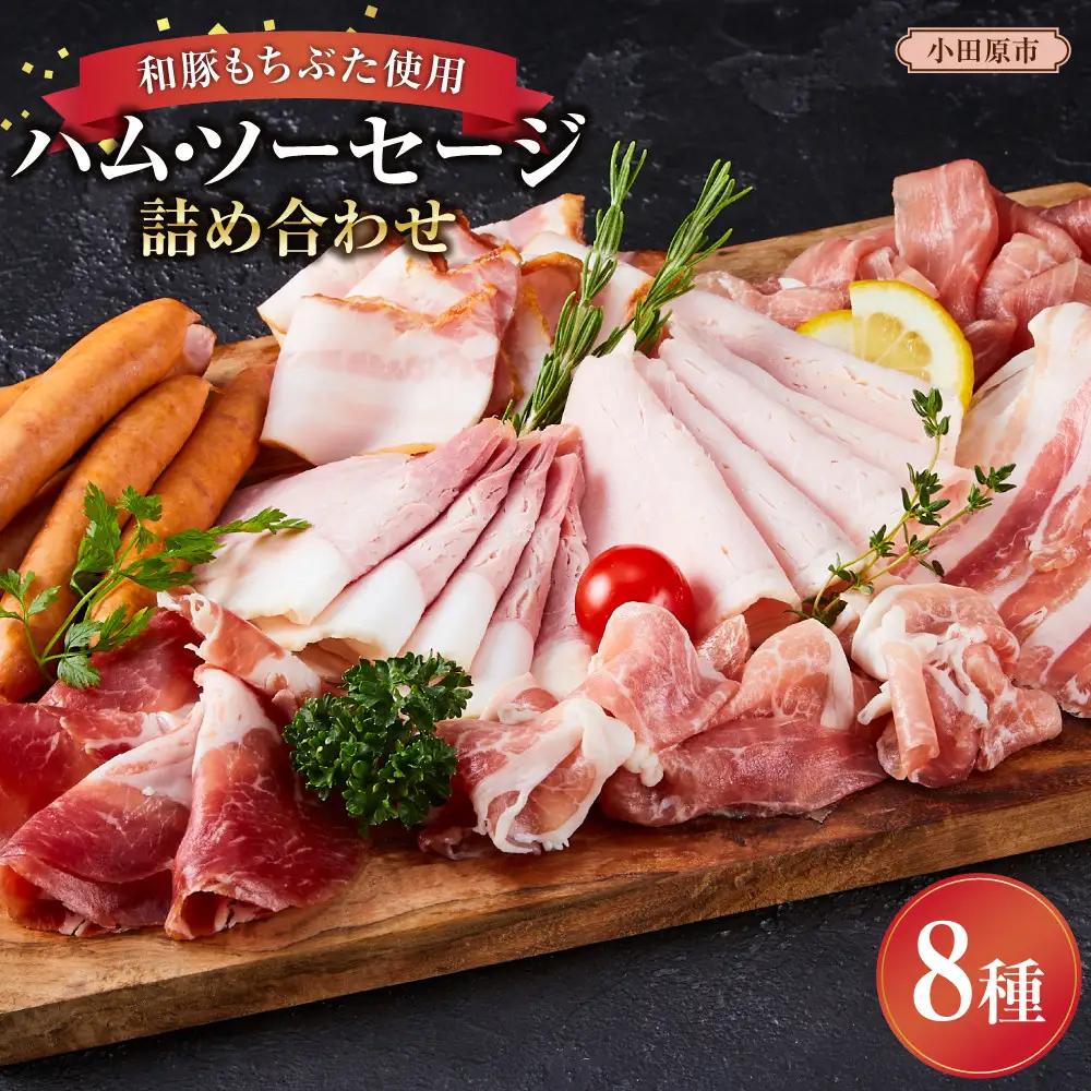 【ふるさと納税限定】和豚もちぶた使用ハム・ソーセージ詰め合わせ ｜ ソーセージ 惣菜
