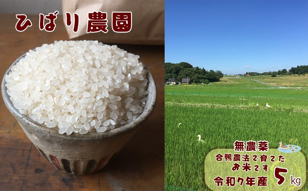 
            【無農薬】合鴨農法で育てたひばり農園の白米（りくう132号） ５kg 【584】
          