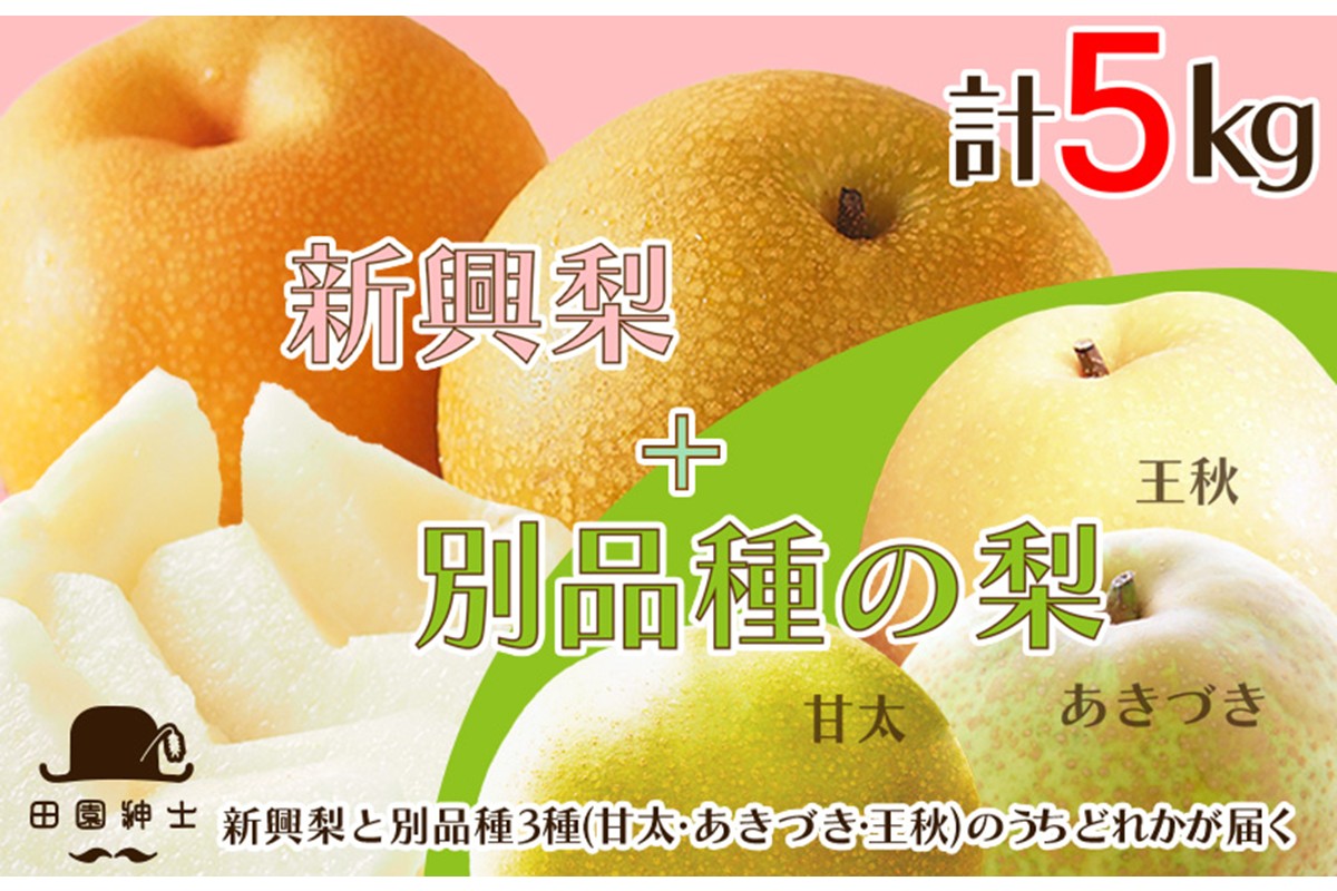 田園紳士厳選「梨好きさんのための梨セット」新興梨ともう1品種の計2品種セット