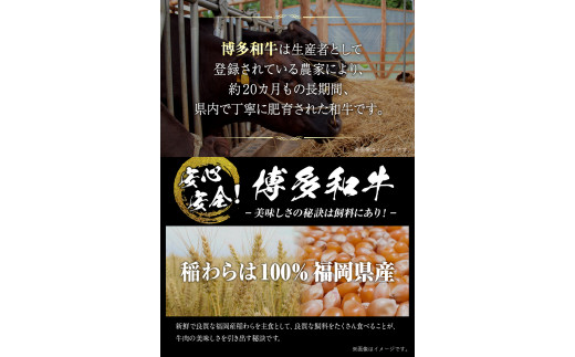 博多和牛切り落とし 1000g (500ｇ×2パック)《30日以内に出荷予定(土日祝除く)》 博多和牛 牛肉 A4ランク---sc_fmphwgkiri_30d_23_14000_1000g---