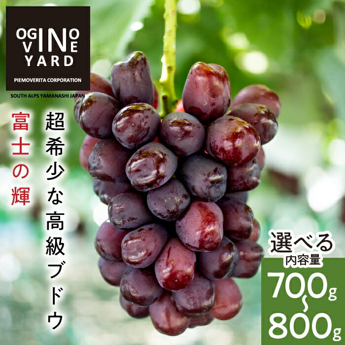 【ふるさと納税】 【2026年秋収穫先行予約】 山梨県産 富士の輝 700g~1.0kg 箱1房入 ふるさと納税 ぶどう 葡萄 フルーツ 果物 富士の輝 おすすめ 山梨県 南アルプス市 送料無料 ALPAK015