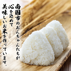【新米】 【数量限定】 令和7年度 コシヒカリ 5㎏ 8月から順次発送 超早場米 米 コメ お米 精米 早場米 新米 ご飯 おにぎり こめ 白米 高知県 南国市 [KT001]
