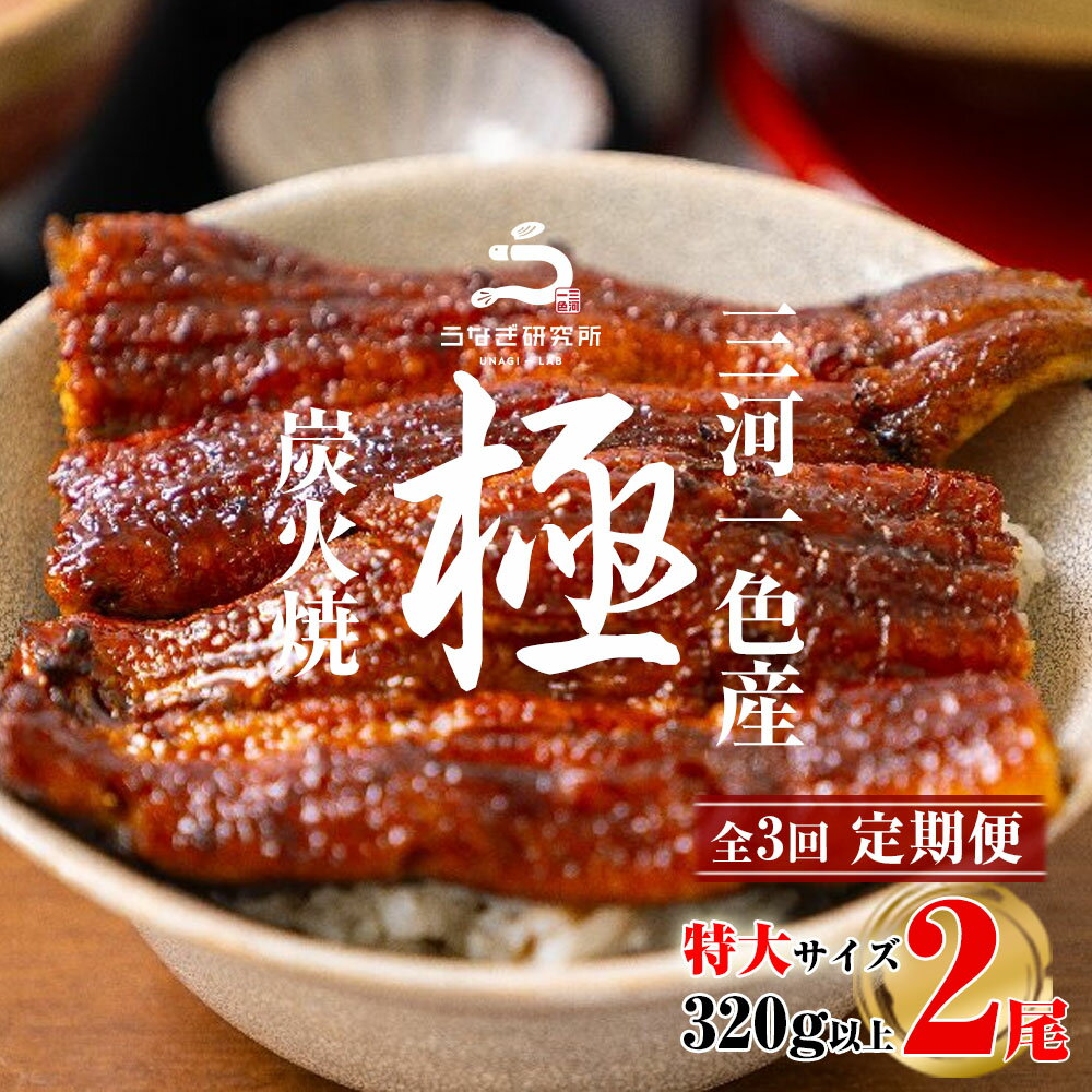 【ふるさと納税】【定期便】三河一色産うなぎ蒲焼 特大2尾（計320g以上）×3回・R013 鰻 鰻の蒲焼 鰻蒲焼 蒲焼 愛知県産 三河一色産 一色産 一色産うなぎ 大サイズ 惣菜 魚介 おかず 小分け 贈答 贈り物 ギフト グルメ お取り寄せ 愛知県 西尾市