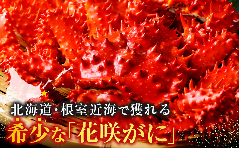 【北海道根室産】花咲がに甲羅詰め80g前後×2個 G-54001
