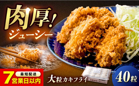 【スピード発送】冷凍 大粒 カキフライ 40粒 [BACG006]カキフライ