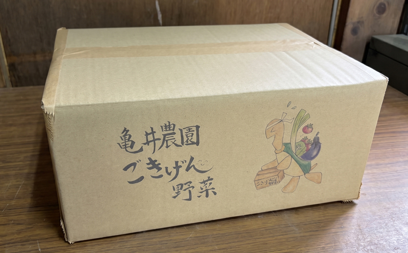 ハウス桃太郎トマト4kg トマト 野菜 やさい 果物 とまと  tomato 甘い リコピン トマト フルーツ 先行予約 10000円 2026年 産地直送 数量限定 農家直送 鮮度 新鮮 土耕栽培 栽培 ビタミンC 美容 健康 栄養  お弁当 先行予約 サラダ 亀井農園 神奈川 湘南 藤沢