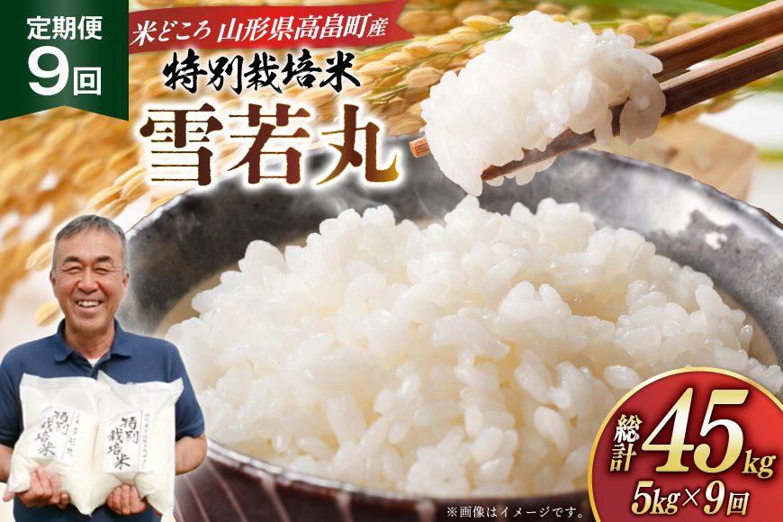 米 定期便 9回 令和8年産 特別栽培米 雪若丸 5kg 9回 計45kg [渡部ファーム 山形県 高畠町 tk06ays810053] お米 白米 精米 ごはん ご飯 ブランド米