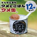 【ふるさと納税】どんなときも梅とご飯 ウメ缶 12缶セット 非常食 保存食 備蓄 非常食セット 防災グッズ 防災 アウトドア キャンプ 缶詰 紀州南高梅 梅干し アルファ米 ご飯 和歌山県 白浜町 ふるさと納税 5年保存 | 食品 加工食品 人気 おすすめ 送料無料