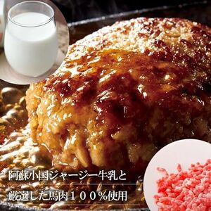 【6回定期便】馬肉ハンバーグ 熊本と畜 馬肉100％ 馬ミンチ ヘルシーミート 高タンパク 低カロリー 150g 12個 計1800g 1.8kg 小分け 個包装 焼くだけ おかず 簡単 阿蘇小国ジャ