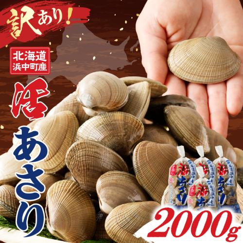 【訳あり】4月～6月発送分《先行予約・期間限定》浜中町産活あさり(500g×4袋セット)_H0023-127