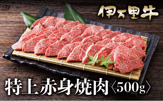 
伊万里牛 A５ 赤身 焼肉用 500ｇ J627
