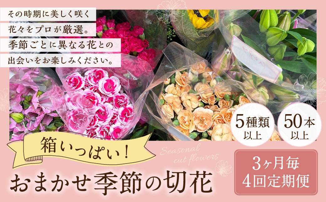 
                  【 3ヶ月毎4回定期便 】 箱いっぱいのおまかせ季節の切花 （ 5種類以上 ・ 50本以上 ） 切花 切り花 生花 花 お花 フラワー インテリア 季節 花束 詰め合わせ 冷蔵 定期 定期配送
                