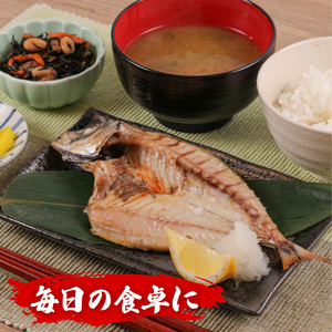訳あり 干物 アジ 開き 1kg 無添加 冷凍 干物 干物 干物 干物 干物 干物