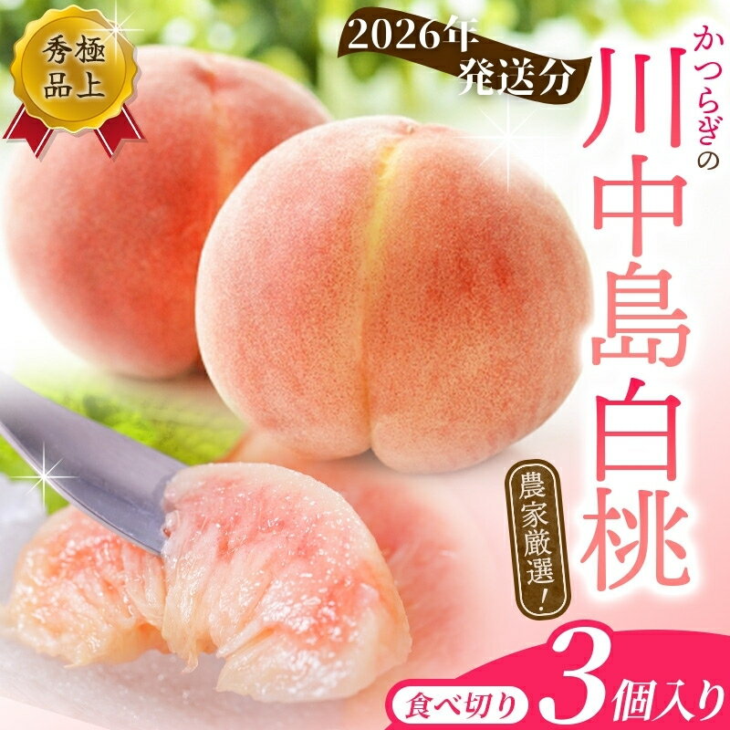 【ふるさと納税】 【先行予約】 桃 川中島白桃 食べきりやすい3個入 秀品【2026年7月末頃から順次発送】こだわり農家厳選 もも モモ 果物 くだもの フルーツ 先行予約 白桃 人気 和歌山の桃 贈答 贈り物 数量限定 お取り寄せ かつらぎ町 くしがきの里 送料無料【KG16】
