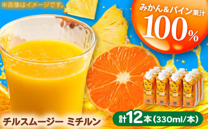 【果汁100％】チルスムージーミチルン（330ml×12本） / みかんジュース オレンジジュース パインジュース フルーツ 果汁100% / 佐賀県 / さが風土館季楽 [41AABE105]