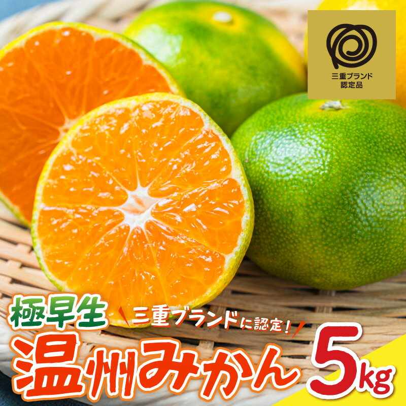 【ふるさと納税】【期間限定】高評価★4.88 JA 温州みかん 極早生 5kg │ 果物 フルーツ 柑橘 みかん 南紀みかん 温州みかん 光センサー選果 三重ブランド認定 高品質 国産 夏 秋 旬