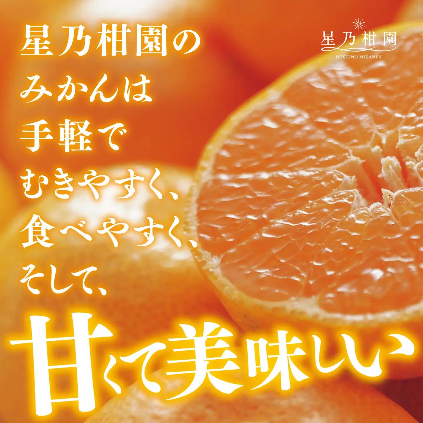 【先行受付】星乃みかん園の星乃みかん(10kg)【訳あり】【C45-64】【1339361】 YWTAZ027