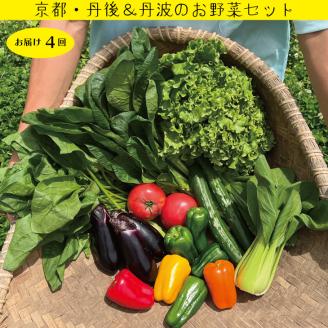 【定期便】合計4回お届け 野菜詰め合わせ　有機野菜・京野菜の『京都やおよし』亀岡・京丹後産 オーガニック 栽培期間農薬不使用 減農薬 野菜 ※着日指定不可  ※北海道・沖縄・離島への配送不可