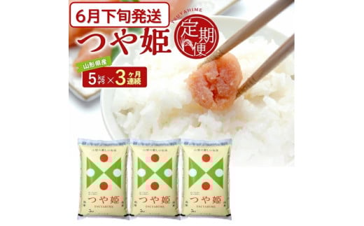 6月下旬発送開始／【3回定期便】 特別栽培米 つや姫 5kg×3ヶ月連続 計15kg 令和7年産 山形県産 精米 白米 庄内米 米 ごはん ご飯 酒田市 庄内 山形県 東北 農協 JAそでうら SG0095