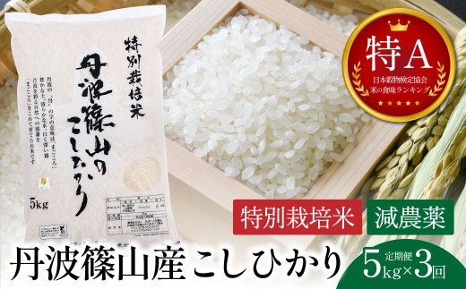 【定期便・新米8年産】特Aランク 特別栽培米 コシヒカリ　5kg（全3回） 兵庫県 丹波篠山市 白米 100％単一原料米 産地直送米 おいしい お米 精米 コシヒカリ ブランド おこめ 健康 送料無料 おすすめ 人気 口コミ