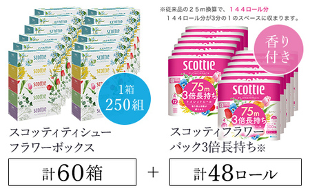 【ボックスティッシュ60箱＋トイレットロール48ロール セット】スコッティティシューフラワーボックス250組60箱(1ケース5箱×12パック) と スコッティフラワーパック3倍長持ち4ロール（ダブル）×12パック/  ティッシュ ティッシュペーパー トイレットペーパー ティッシュ ティッシュペーパー トイレットペーパー ティッシュ ティッシュペーパー トイレットペーパー ティッシュ ティッシュペーパー トイレットペーパー ティッシュ ティッシュペーパー トイレットペーパー ティッシュ ティッシュペーパー ト