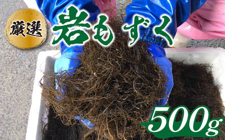 【先行予約】岩もずく0.5kg ※2026年5月下旬ごろ順次発送｜北陸 厳選 もずく [A-018002]