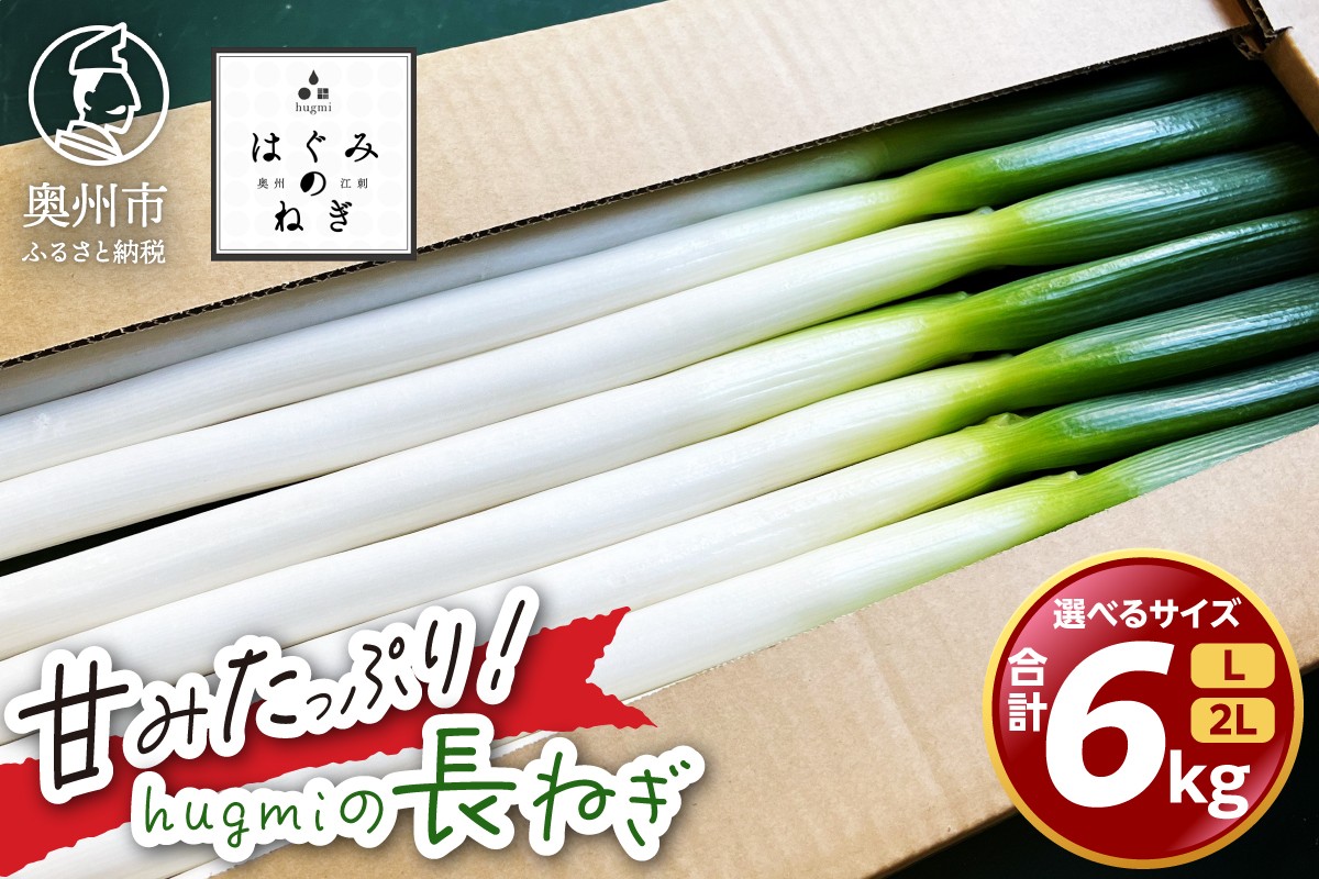 
                  hugmiの長ねぎ 6kg (3kg×2個) Lサイズ/2Lサイズ 奥州市産 甘みたっぷり 冬ねぎ 冬野菜 生鮮食品 新鮮 野菜 食品 冷蔵配送 期間限定 離島配送不可 岩手県 奥州市 [BJ011][BJ013]
                