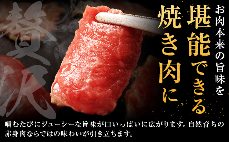 生産者直送！GI認証 くまもとあか牛 すき焼き用 500g ・ 焼き肉用 500g 食べ比べセット山の里《60日以内に出荷予定(土日祝除く)》熊本県 産山村 BBQ 焼き肉 焼肉 すき焼き くまもとあ