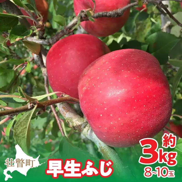 【先行予約】北海道壮瞥町産りんご「早生ふじ」約3kg(8～10玉)2026年10＜月中旬よりお届け＞ SBTF002