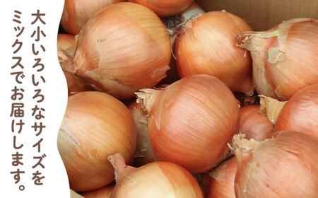 万能野菜 玉ねぎ 約5kg / 玉ねぎ たまねぎ 玉葱 玉ねぎ 玉ねぎ 玉ねぎ 玉ねぎ [IBQ010]