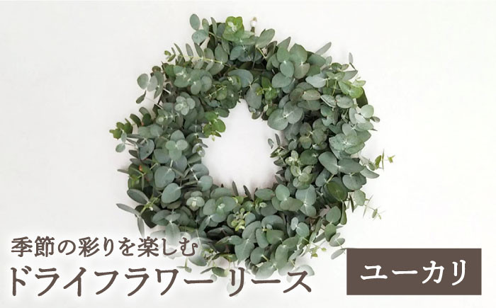 
                  【数量限定】【季節の彩りを楽しむ】ドライフラワー リース（ユーカリ）【yumikofactory】  佐賀県 白石 [IBY003]
                