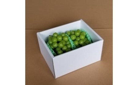 ＜2024年先行予約＞厳選高級シャインマスカット1kg以上（2房） 082-011