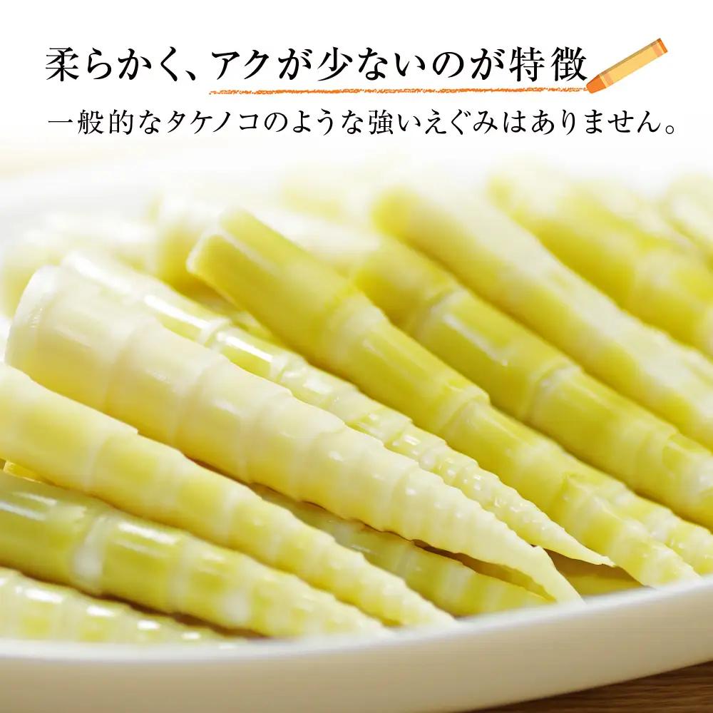 【2027年発送予約】天然 根曲がり竹 1kg 根曲竹 ネマガリタケ 姫竹 笹竹