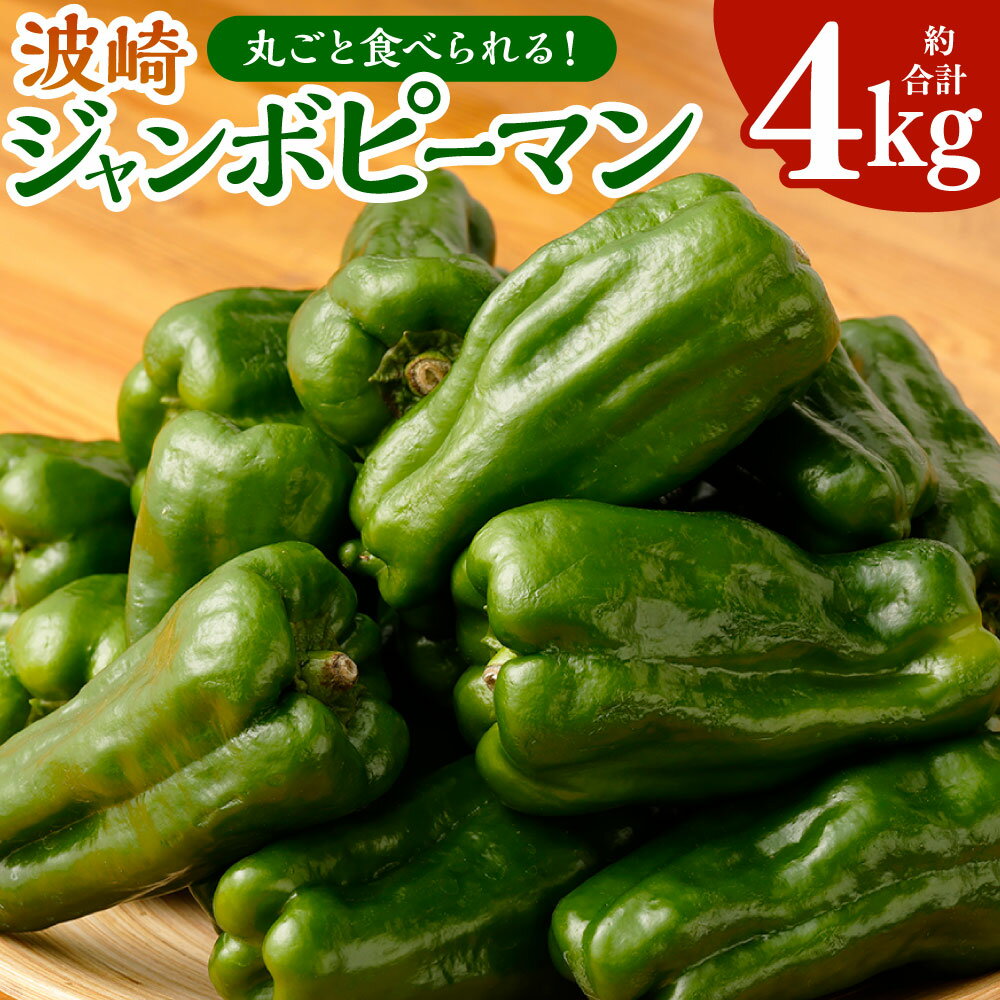 【ふるさと納税】丸ごと食べられる！波崎ジャンボピーマン 4kg 約70個入り 野菜 ピーマン 丸ごと BBQ おかず 無限 神栖市 茨城県 送料無料