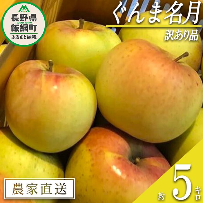 【ふるさと納税】 りんご ぐんま名月 訳あり 5kg 松澤農園 沖縄県への配送不可 令和7年度収穫分 長野県 飯綱町 〔 傷 不揃い わけあり リンゴ 林檎 果物 フルーツ 信州 長野 12000円 予約 農家直送 〕発送時期：2025年11月下旬〜2026年1月上旬 {*}