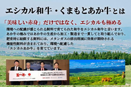 年末発送 【エシカル和牛】くまもと あか牛【あか牛の極み】バラ焼肉 200g×3 (計 600g) バラ 熊本 赤牛 ジューシー 牛肉 小分け 焼き肉 焼肉 やき肉 BBQ アウトドア 和牛 国産 S
