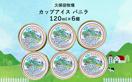 カップアイス　バニラ 120ml×6個 NAP008