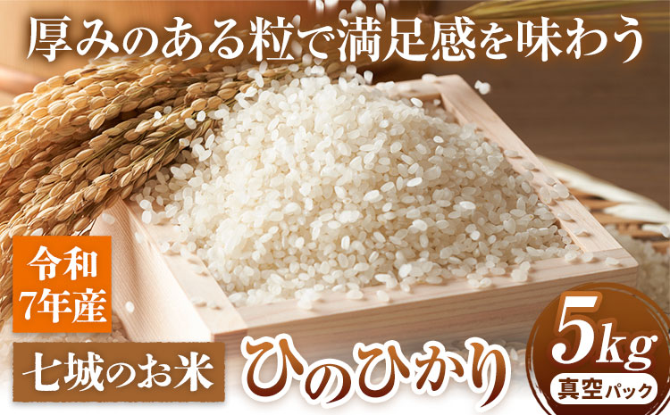 七城のお米 ヒノヒカリ 5kg 真空パッケージ 白米 精米 令和7年産 堀田農場《30日以内に出荷予定(土日祝除く)》お米 ひのひかり 熊本県 菊池市 熊本県産 九州産 送料無料---030-2624---