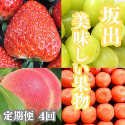 ふるさと納税 坂出市 【発送月固定定期便】坂出の美味しい果物定期便　季節の果物を年間4回に分けてお届け!全4回