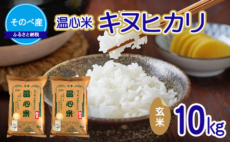 【寄付額を見直しました】 キヌヒカリ10kg 玄米×1 10kg袋 令和7年度産　そのべ産 温心米 お米 10kg 単一原料米 きぬひかり 丹波 精米 玄米 こめ コメ 京都