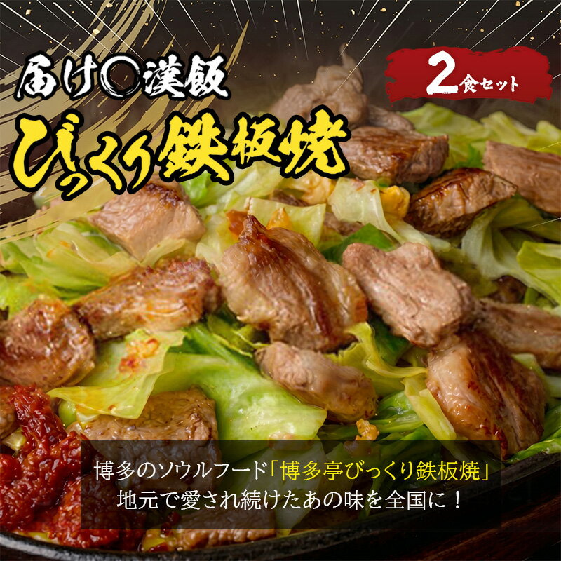 【ふるさと納税】福岡のソウルフードびっくり鉄板焼 2食セット