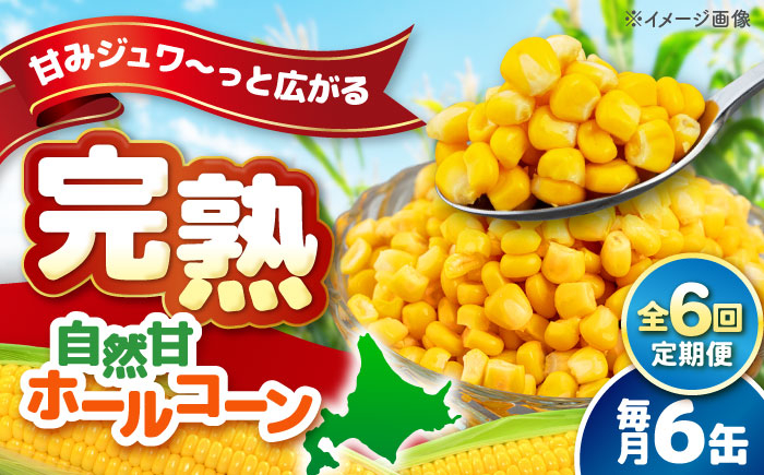
                  【全6回定期便】【北海道産】 自然甘ホールコーン 6缶（C7号缶）《喜茂別町》【きもべつ観光協会】 コーン コーン缶 とうもろこし トウモロコシ 北海道 常温 常温配送 [AJAG033] 30000 30000円 3万円
                