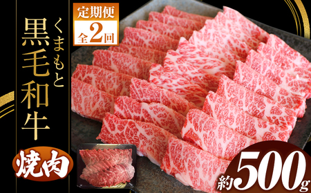 【定期便2回】くまもと黒毛焼肉500ｇ