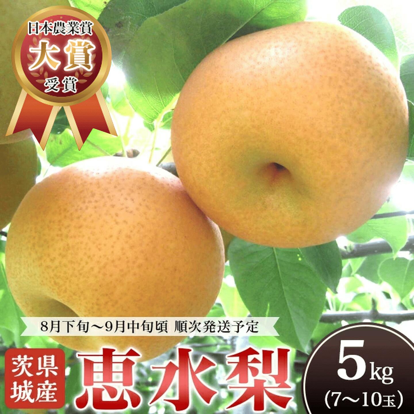 【ふるさと納税】【全国梨選手権 最高金賞受賞】茨城県産「恵水」梨 5kg【 2026年8月下旬～9月中旬にかけて発送予定 】【 2026先行予約 果物 梨 茨城県産 なし 恵水 5kg 7～10玉 けいすい 旬 フルーツ くだもの 光センサー選別 】